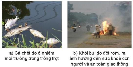 https://conkec.com/sites/default/files/styles/giua_bai/public/d/m/Y/20220217101506_wm_shs-cong-nghe-10-cong-nghe-trong-trot-136_1.jpg?itok=kcScMh7u