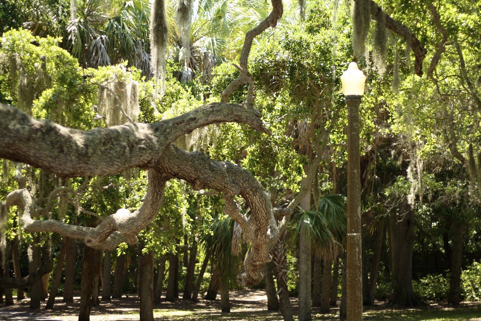 Things To Do In St. Petersburg: Abercrombie Park