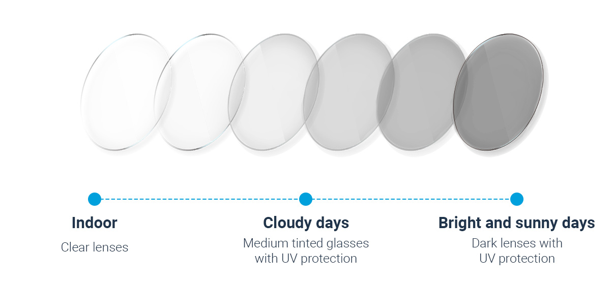 Lense vs. Lens: See the Difference Clearly