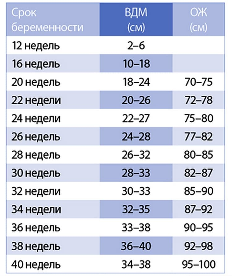 Окружность живота по неделям норма таблица Картинки 28 НЕДЕЛЯ БЕРЕМЕННОСТИ ОКРУЖНОСТЬ