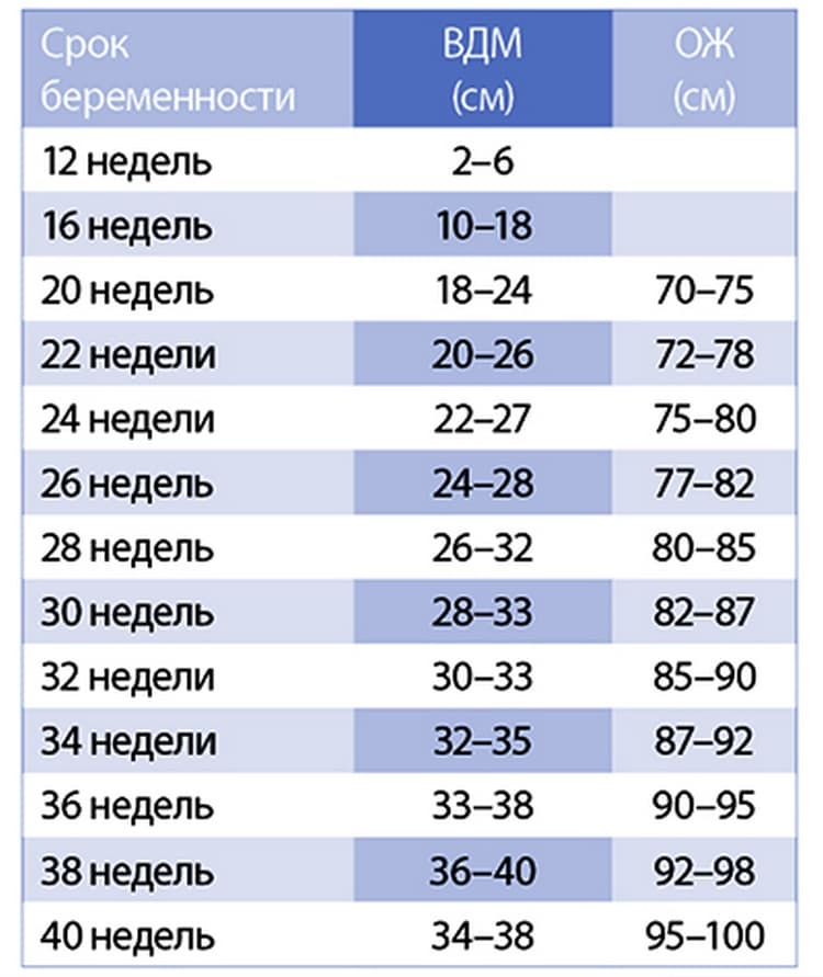 Окружность живота по неделям