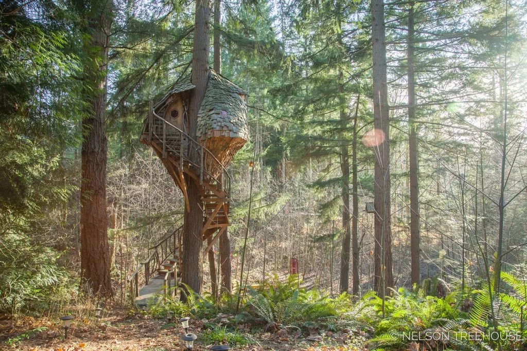 Treehouse With Spiral Staircase