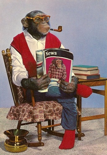 обезьянка-дед в очках и с трубкой.jpg