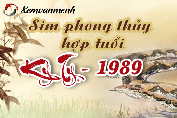 Chọn Số Điện Thoại Hợp Tuổi Kỷ Tỵ 1989 Thoe #5 Yếu Tố Phong Thủy