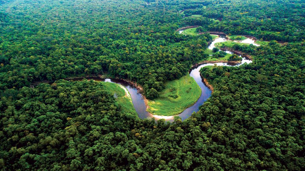 O impasse no Fundo Amazônia - ISTOÉ DINHEIRO