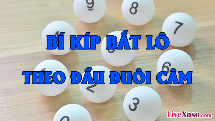 Soi lô theo đầu câm - đuôi câm
