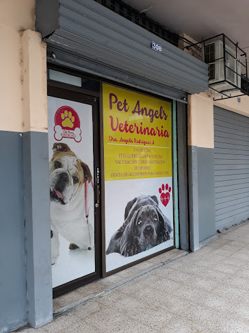 Pet Angels - Guayaquil