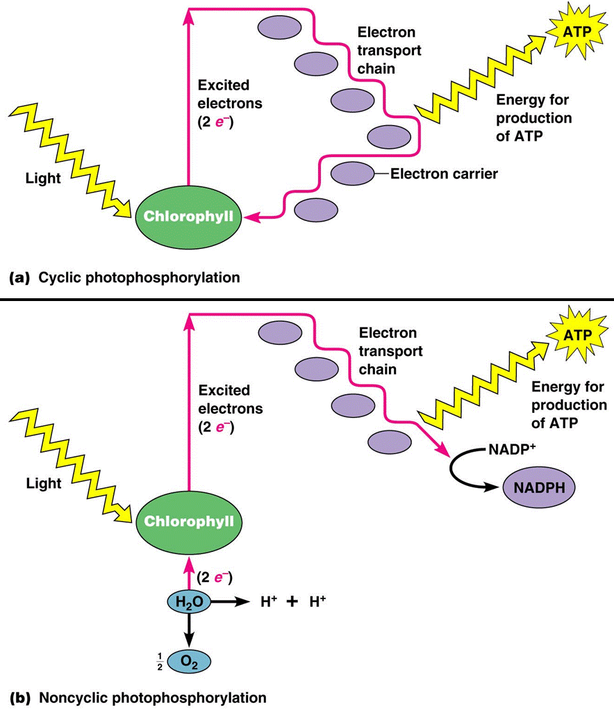 Slide29.GIF