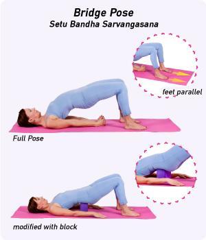 http://www.yogaoutlet.com/userfiles/Guide/image/Yoga_BridgePose_01_300x350(1).jpg