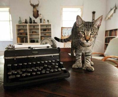 http://www.elortiba.org/old/ayer/keywest-2.jpg