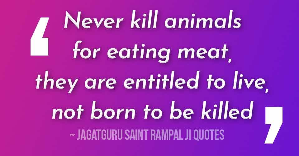 Is it right to eat Meat ?