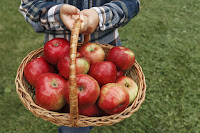 A child learning variables holding a basket full of apples