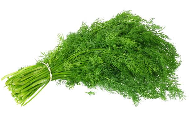 1,879 Dill Weed Stock Photos, Pictures & Royalty-Free Images - iStock