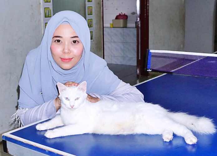 madrasah Tahfiz Seri Alam Gombak Premium Beautiful Therapants Herba Maharani Gombak KL