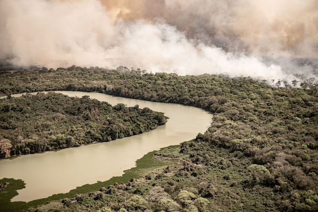 Pantanal em chamas pelas queimadas