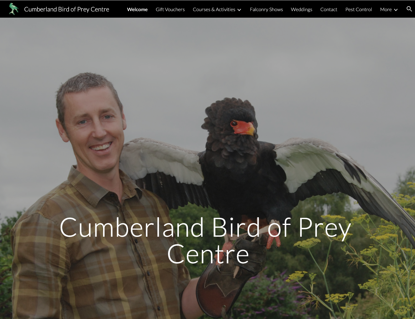 Google Sites Examples: cumberland bird of prey centre