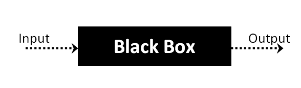 A graph illustrates black box technique: input, black box, output.