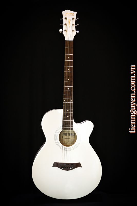đàn guitar màu hồng 2