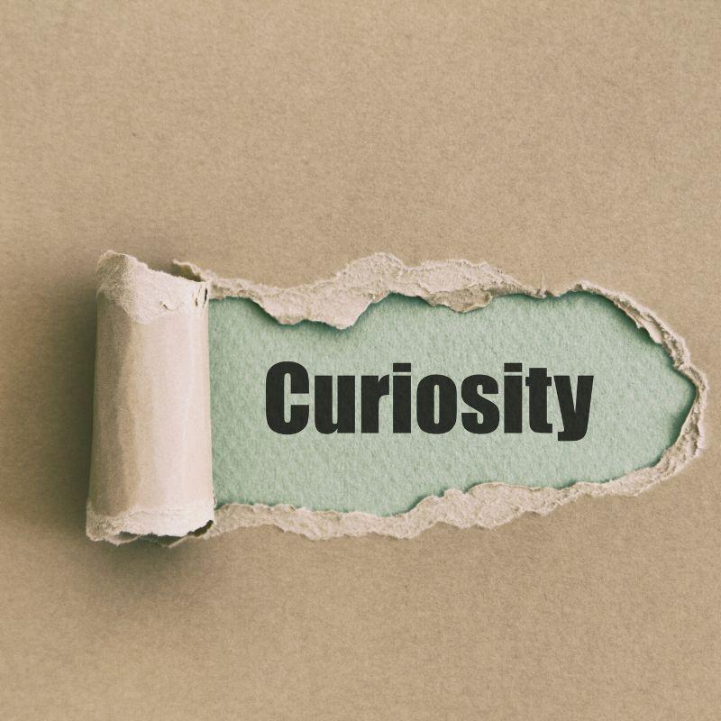Curiosity written in a paper