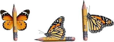 https://lh5.googleusercontent.com/LPqlyXfxzjok6um1HzCY9bYsK_Z6k142cj2wVjQD2Lb6ihsr4-cUCZpNT0Xpc72O0IVaUqFoAnAoZLaIqhzTzoUMEtpCcNVXpu53TTPpzO8gWCGuKjFaI7TLsoWLmmLK-nTir47aWIW6WDk1efzq8vX5YUfsp2nqWilnQiq9fTsCwDslSHzvTi4z9dxffhTkO9k3_0OmdQ