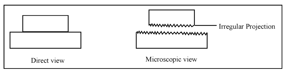 Dynamics | Laws Of Motion Class 11 | Physics | Notes