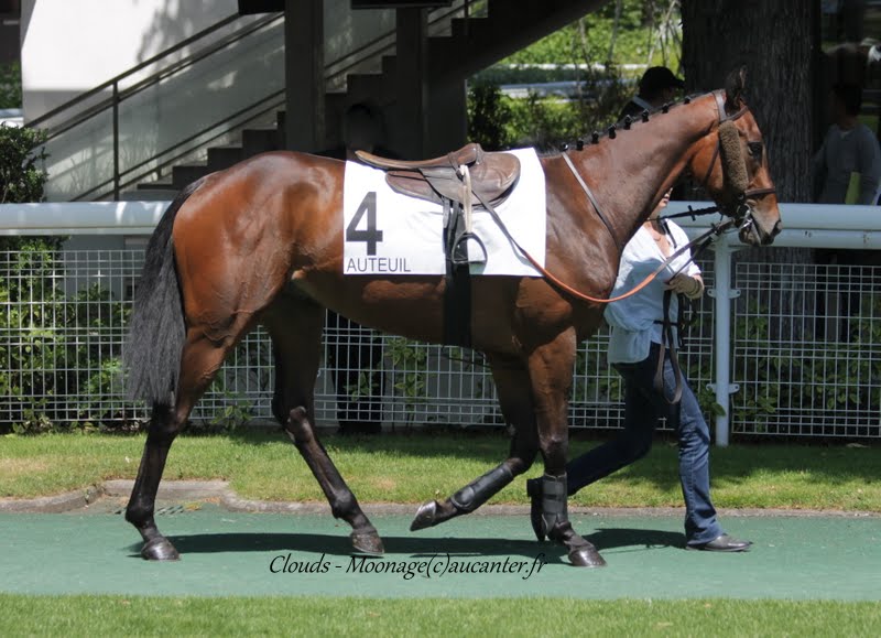 Photos Auteuil 22-05-2015 EtBmt8-Ts6KvpReRIbrnnJBVqupqt5js0BLBdiNEk36k=w800-h579-no