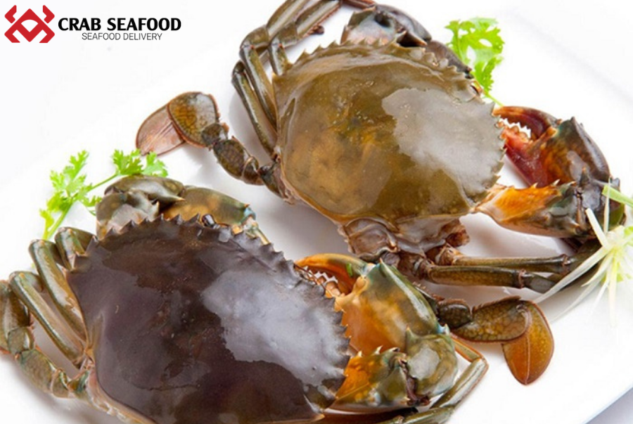 Cách chọn cua gạch ngon mà chị em nên biết - Crab Seafood