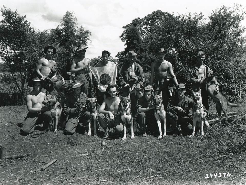 Scout dogs and their handlers pose for a picture while serving in Burma. Image courtesy of National Archives.