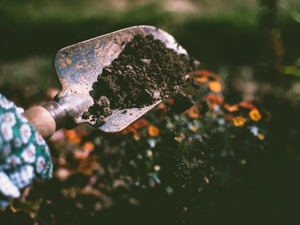 Gardening Hacks That Will Change Your Life