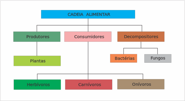 cadeia alimentar e bactérias