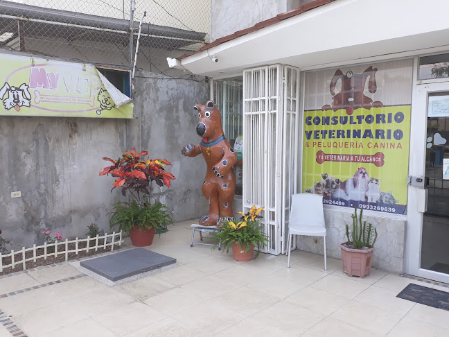 My Vet - Veterinario