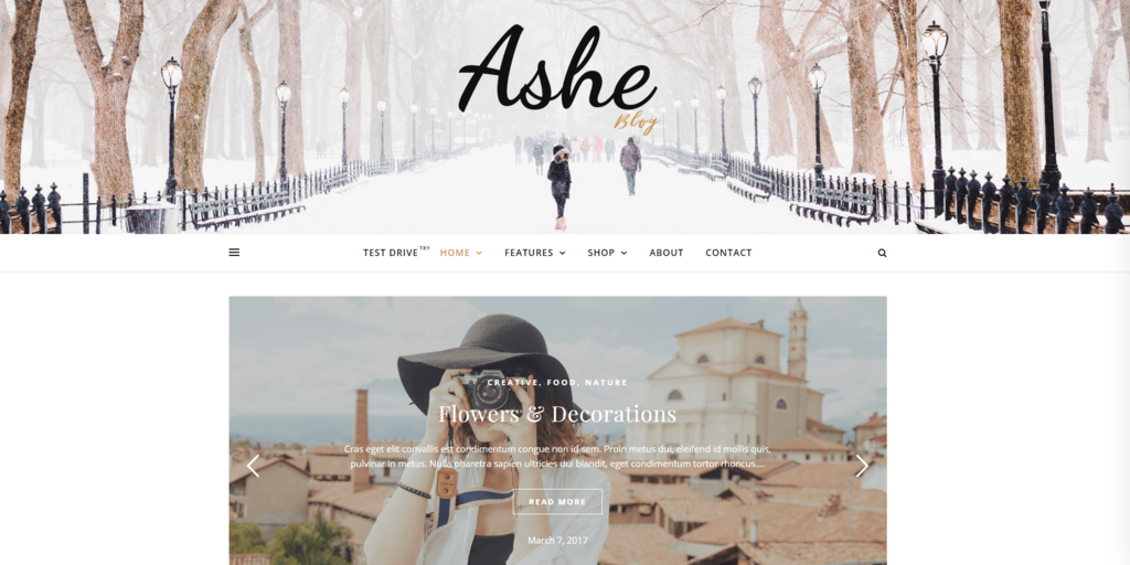 Exemplo de site com o tema Ashe do WordPress 