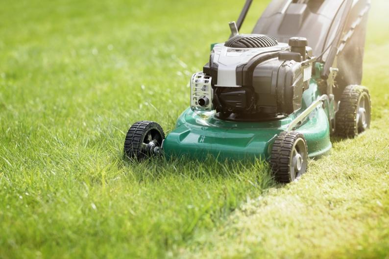 Lawnmower cutting grass