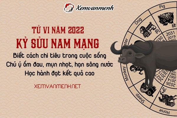 tu-vi-tuoi-ky-suu-nam-2022-nam-mang-2009