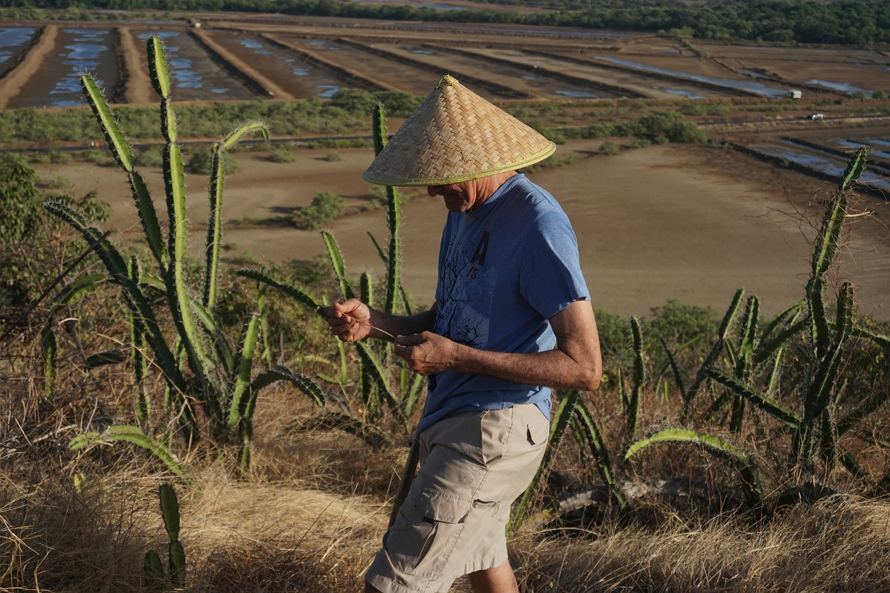 Person standing in a rice field with a rice hat