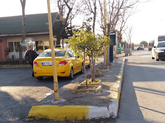 Florya Taksi