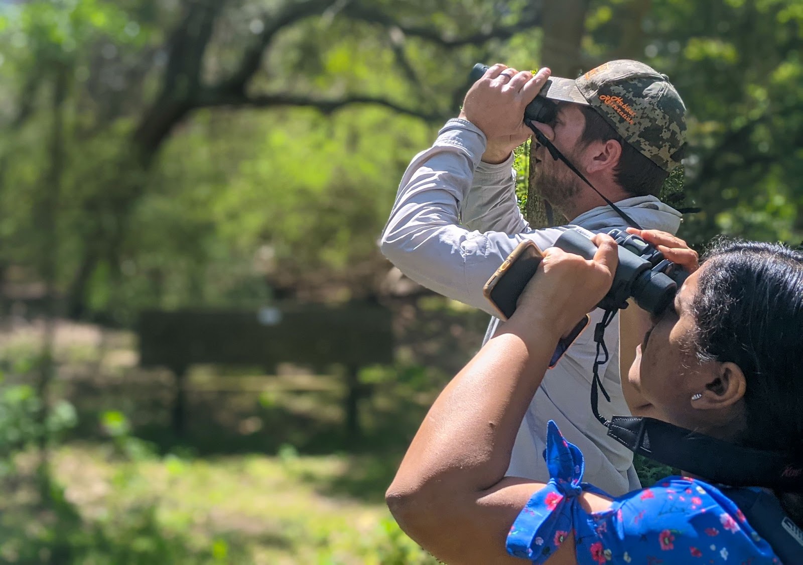 Environmental Journalists use their binoculars to view migratory birds at Smith Oaks Sanctuary near the Texas coast.