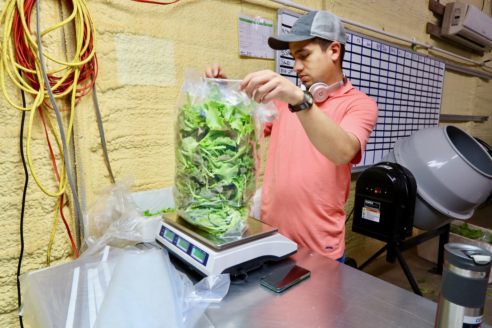 A Southern Organics staff member bags a two-pound bag of greens in the Southern Organics warehouse. (Photo by Christine Hull for Bham Now) ﻿