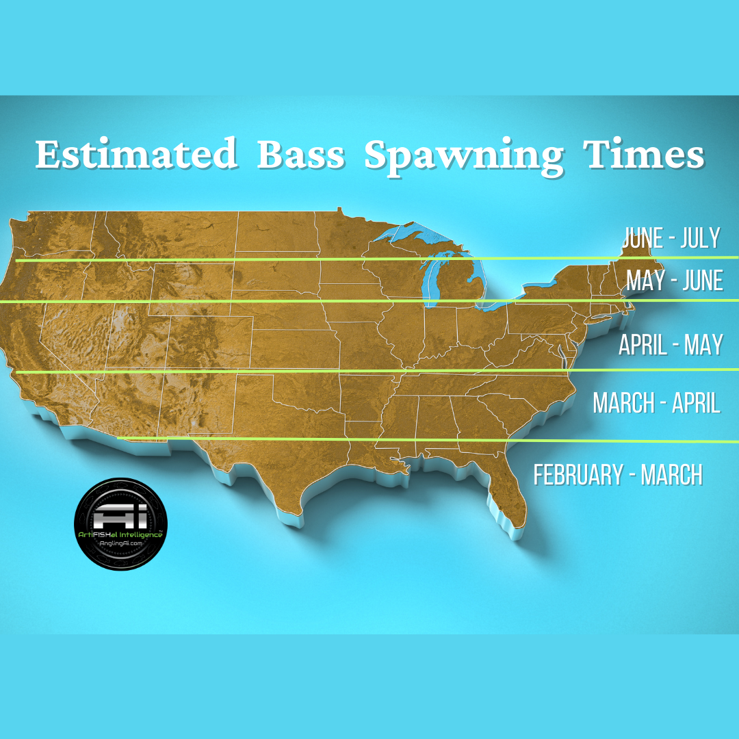 Angling Ai Bass Spawning Times