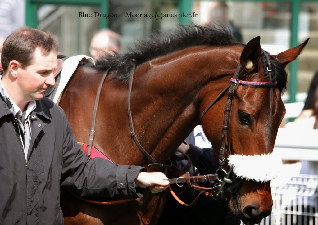 Photos Auteuil 16-05-2015 Week-end printanier de l'obstacle - Page 2 F9vbZ0sh-b-eu_cv4K2hcHDFKoG2sU6pf4oFCXNAQtU6=w1024-h725-no