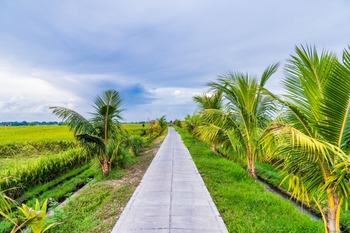 You have to check the road access when you buy land in Bali