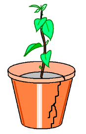 http://www.freewebs.com/khb0/pasu05.gif