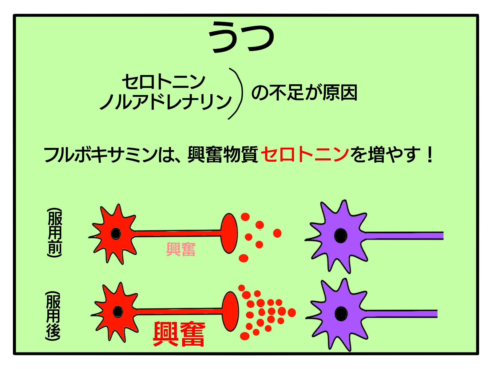 エッ な薬の名前ランキング 薬の回覧板 薬剤師芸人のブログ