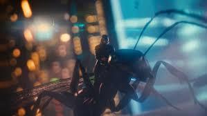 Image result for antman