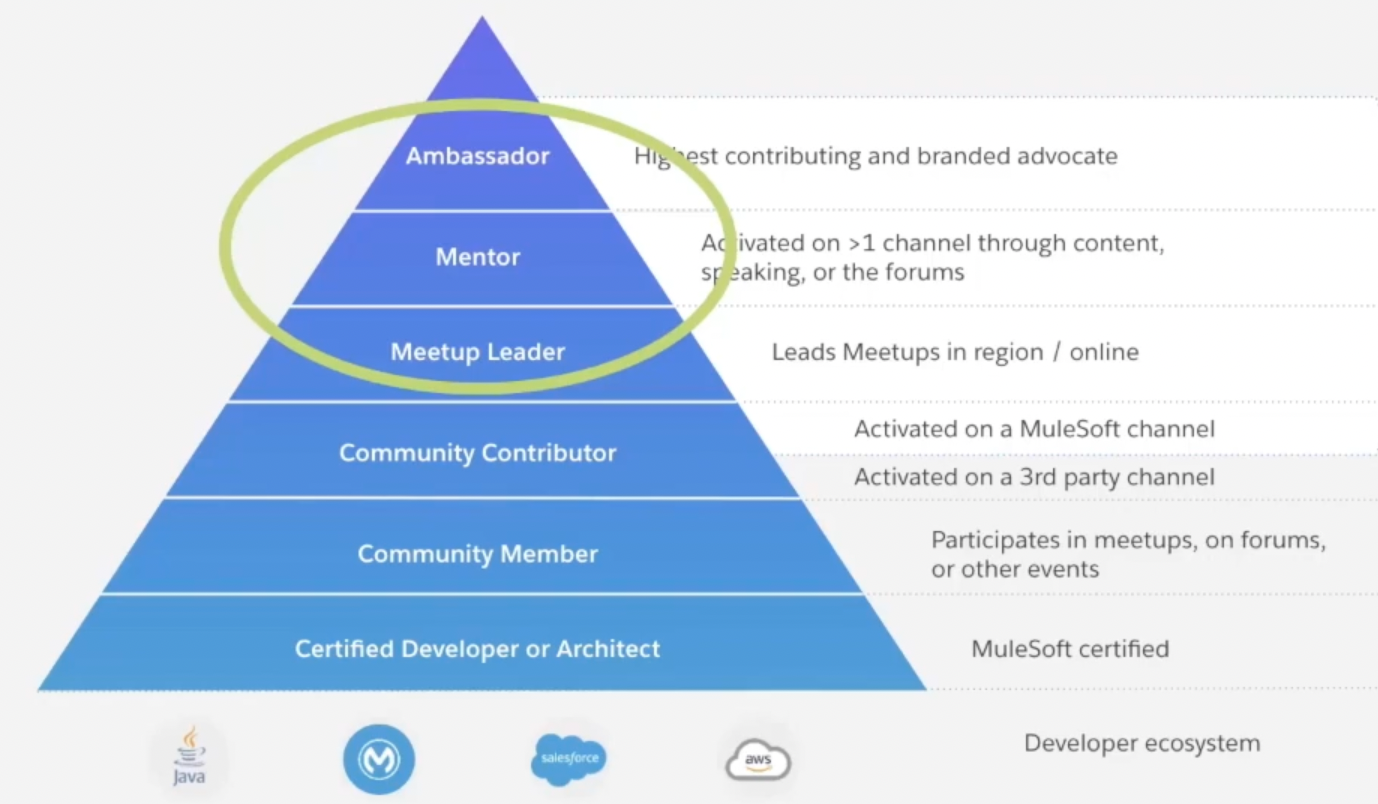 Pyramid of MuleSoft's developer community structure