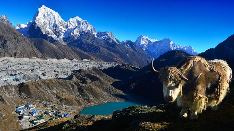H:\NO\SENDA\NEPAL\Fotos Web\gokyo-everest-base-camp-trek-tour-2-263415_1543822577.JPG