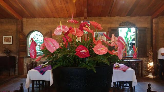 Flowers at Jardin de Celeste