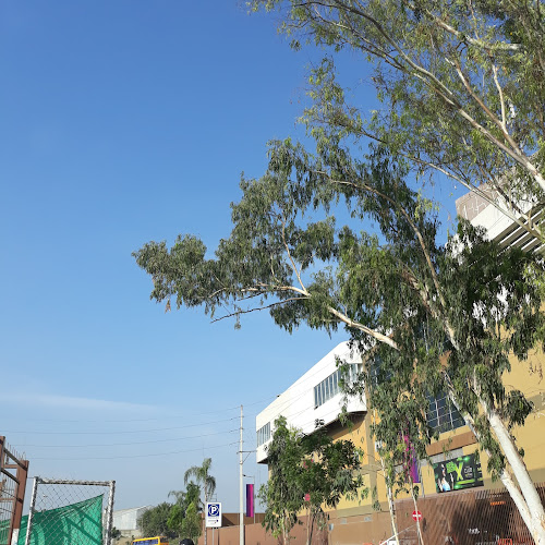 Opiniones de Unidad Educativa Del Milenio en Guayaquil - Escuela