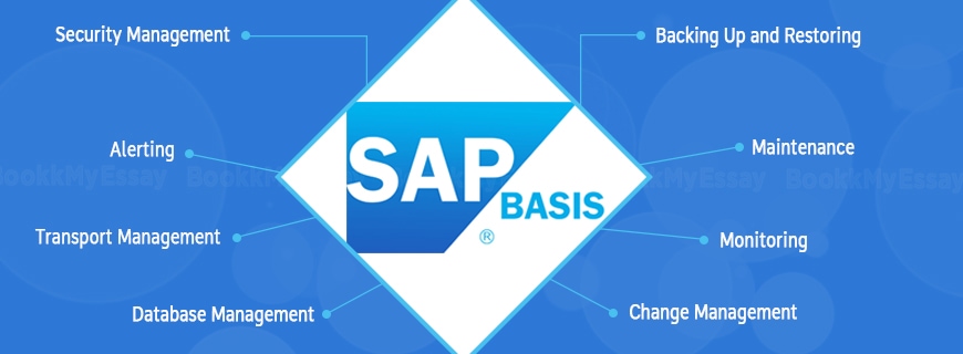 SAP BASIS Training