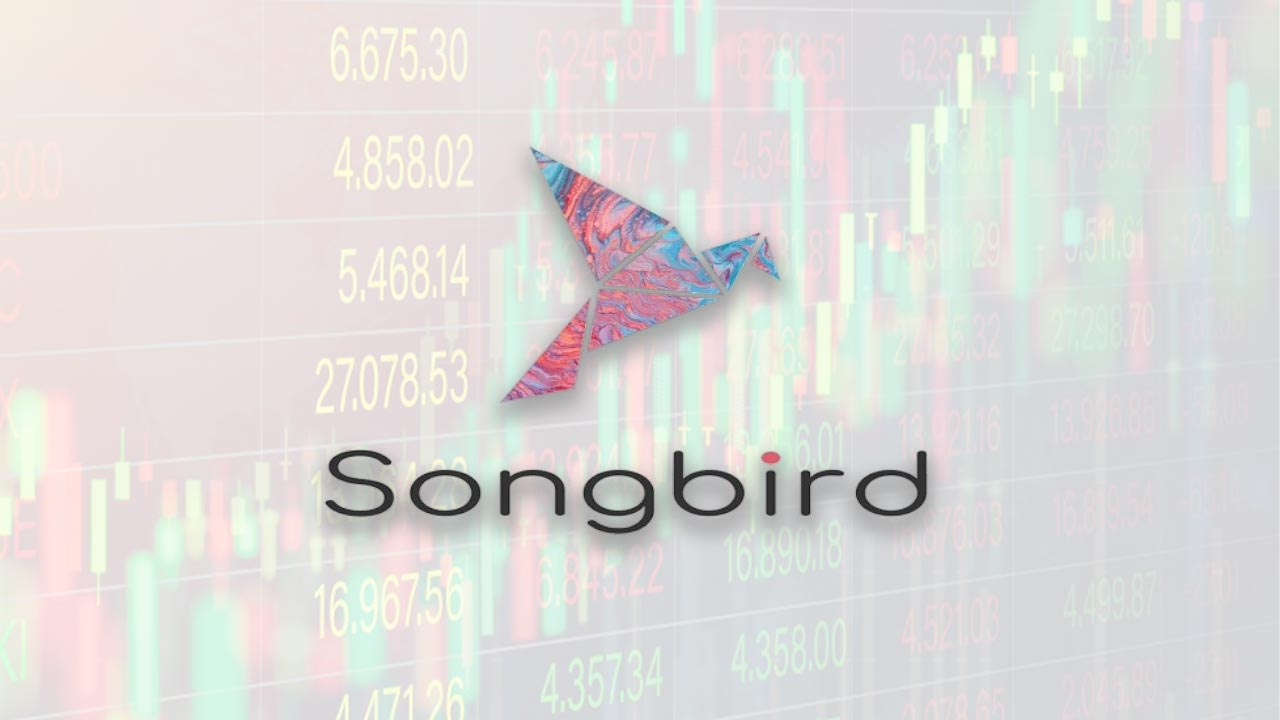 Blog - Songbird crypto Network and the SGB Token